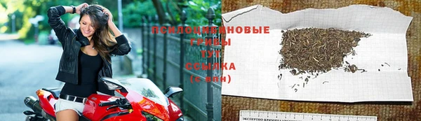сатива Ельня