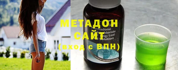 сатива Ельня
