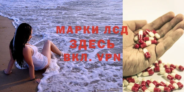 сатива Ельня
