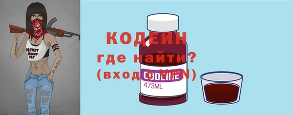 сатива Ельня
