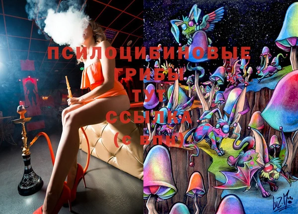 бутират Елизово
