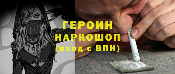 сатива Ельня
