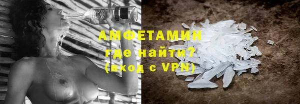 сатива Ельня