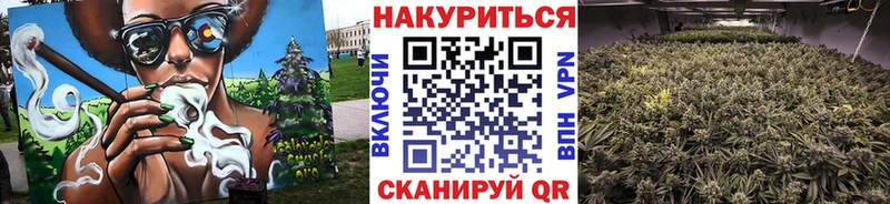 МАРИХУАНА гибрид Купить закладки Дубна